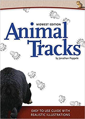 Animal Tracks: Midwest Edition
